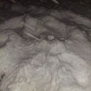 Meet your Posher, Jenn